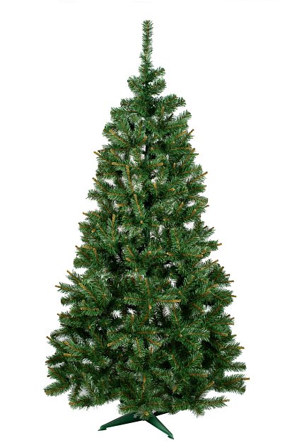 Jedľa Santa 120 cm